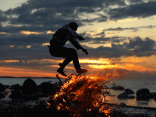 Best cinemagraphs of 2017